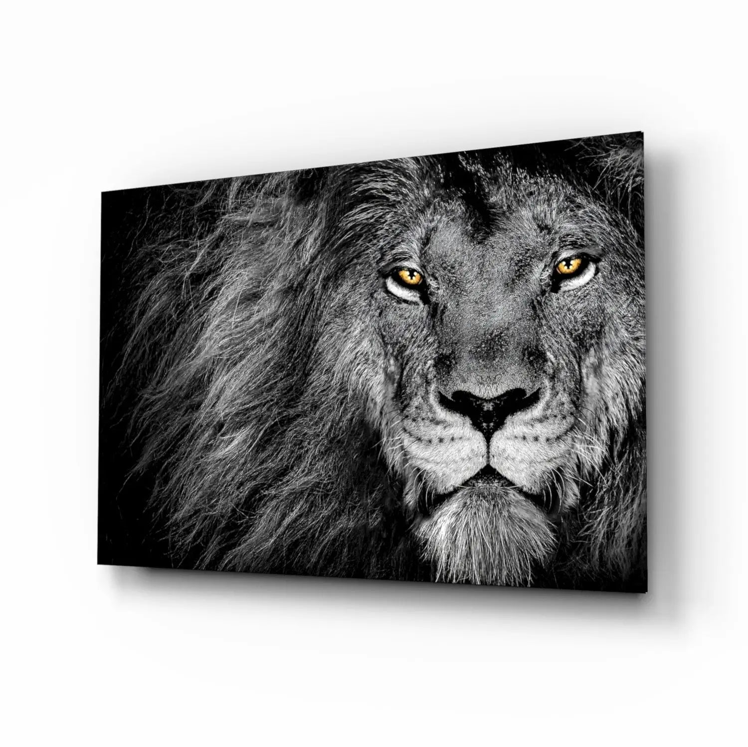 Black-and-white lion glass wall art with striking golden eyes on tempered glass this piece stands out