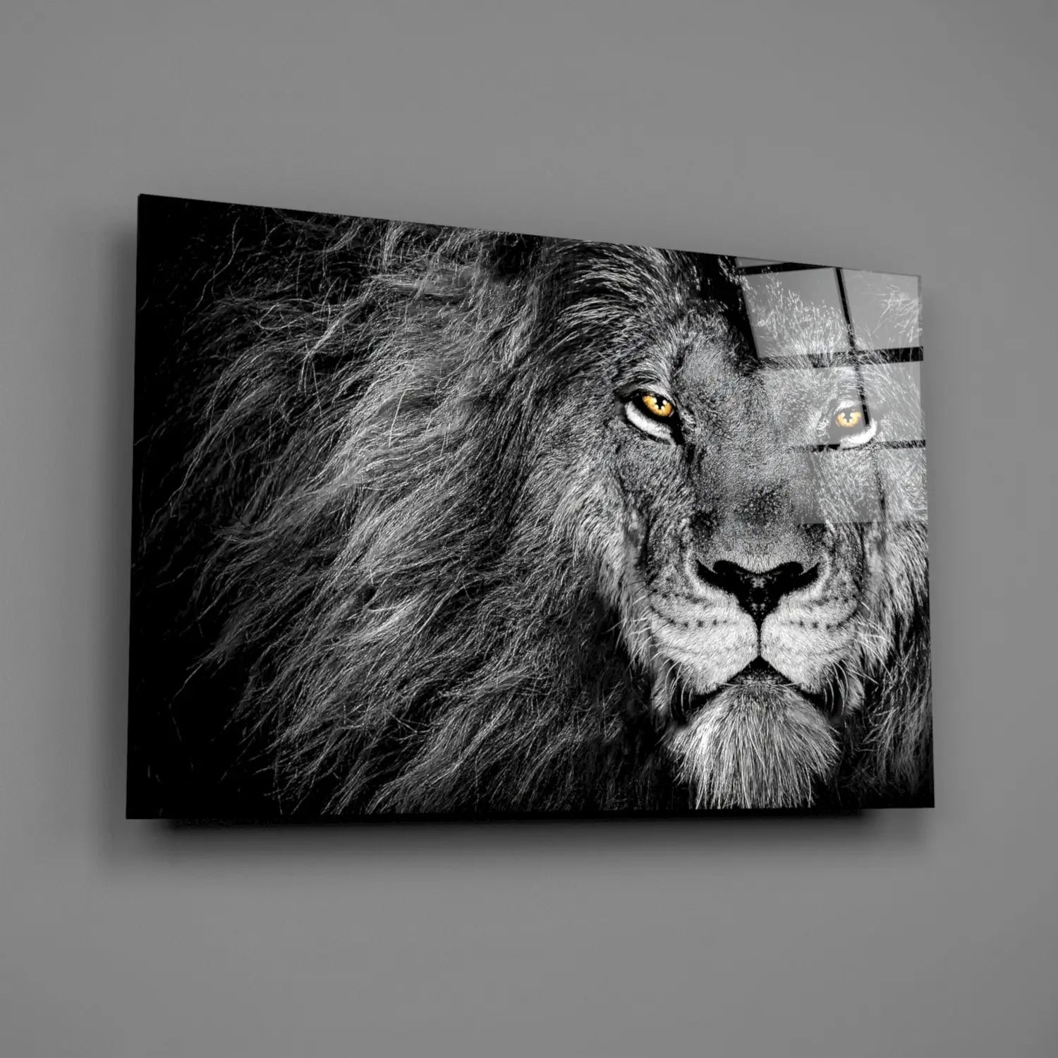 Acest tablou din sticlă călită prezintă un leu alb-negru cu ochi aurii și blană detaliată, perfect pentru decor